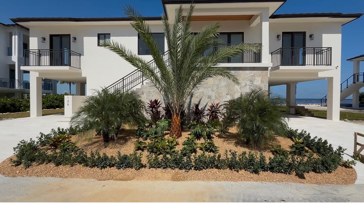 Completed front-yard landscape install at a Florida Keys home — date palm centerpiece with layered tropical plantings and coral stone borders.